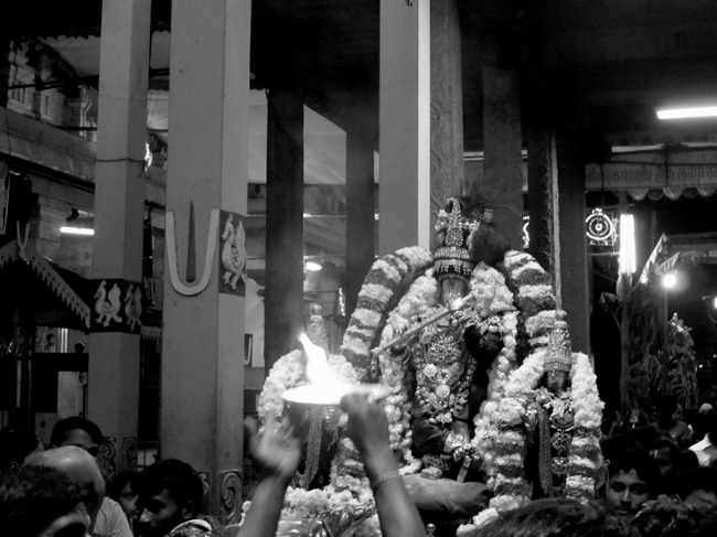 Thiruvallur Thai Brahmotsavam day 6 2014--15