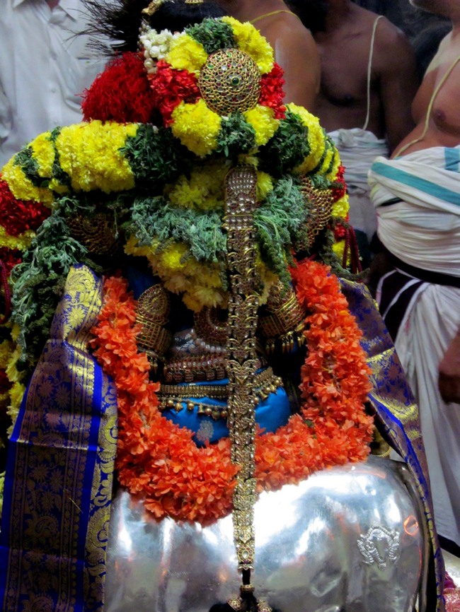 Thiruvallur Thai Brahmotsavam day 6 2014--22