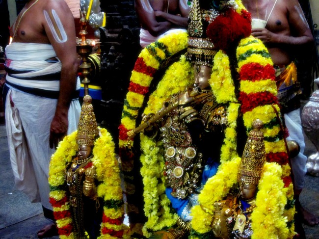 Thiruvallur Thai Brahmotsavam day 6 2014--23