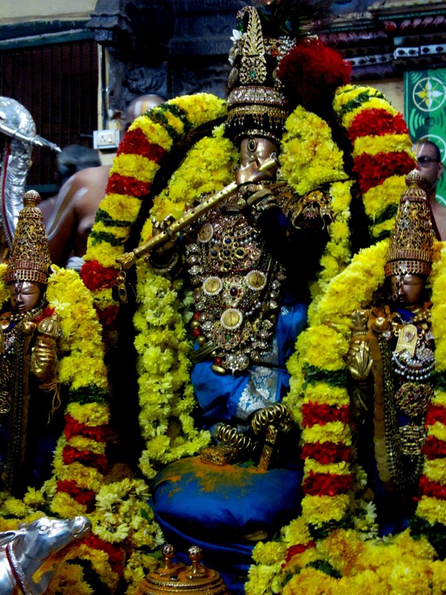 Thiruvallur Thai Brahmotsavam day 6 2014--25