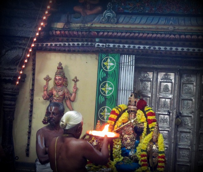 Thiruvallur Thai Brahmotsavam day 6 2014--27