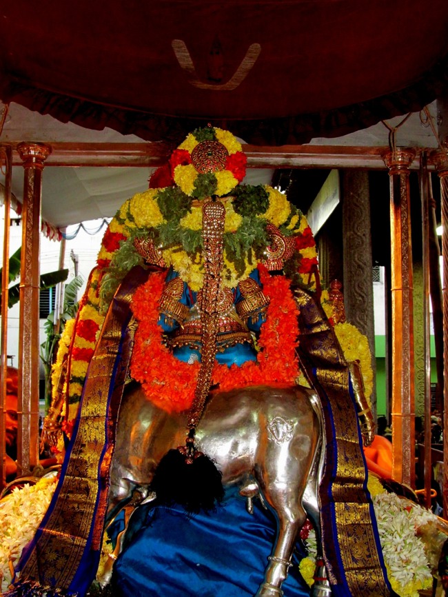 Thiruvallur Thai Brahmotsavam day 6 2014--31