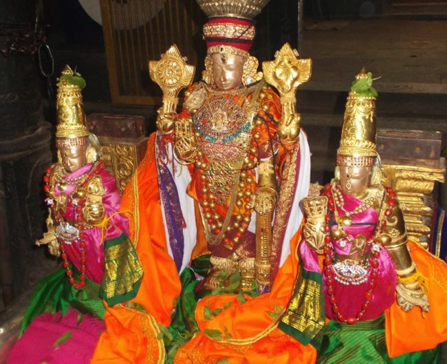 Thiruvallur Thai Brahmotsavam2014--0001