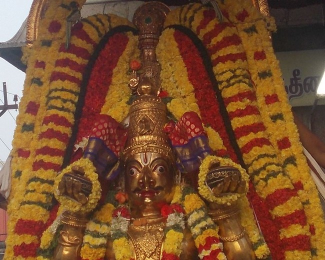 Thiruvallur Thai bRahmotsavam Garuda Sevai 2014  -01