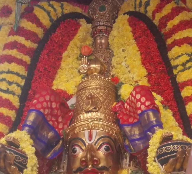 Thiruvallur Thai bRahmotsavam Garuda Sevai 2014  -02