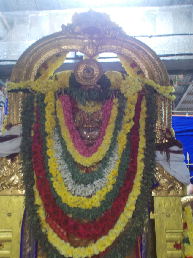 Thiruvallur Thai bRahmotsavam Garuda Sevai 2014  -03