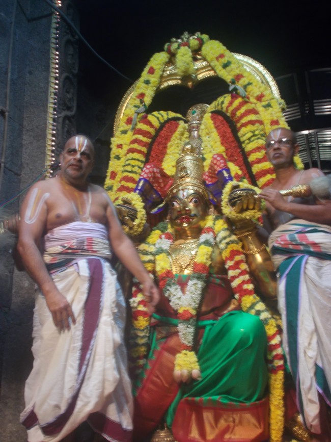 Thiruvallur Thai bRahmotsavam Garuda Sevai 2014  -04