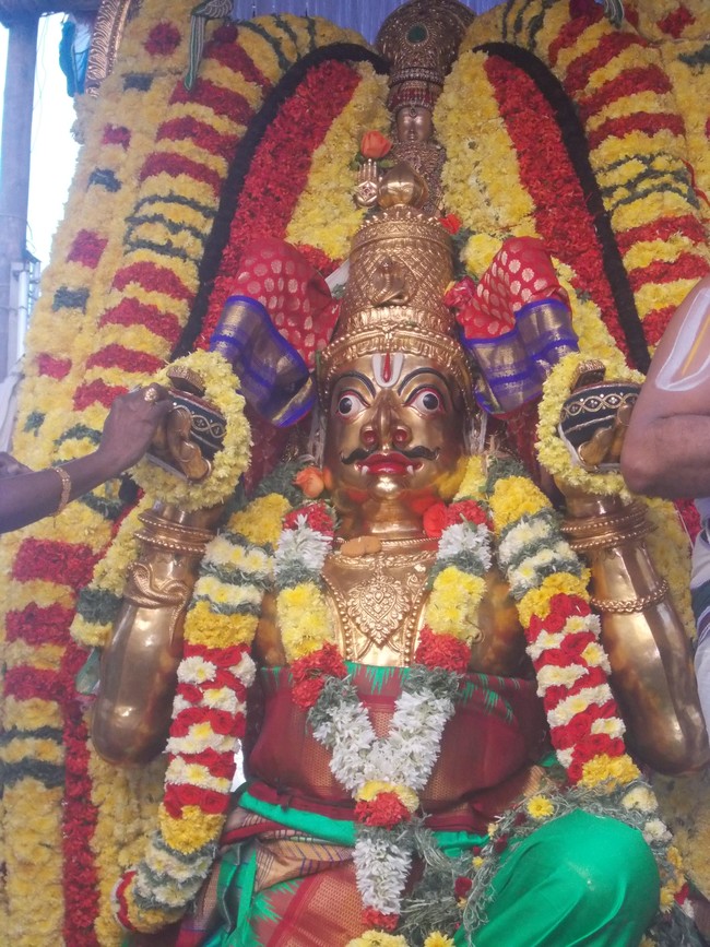 Thiruvallur Thai bRahmotsavam Garuda Sevai 2014  -07