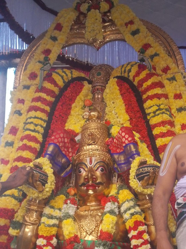 Thiruvallur Thai bRahmotsavam Garuda Sevai 2014  -08