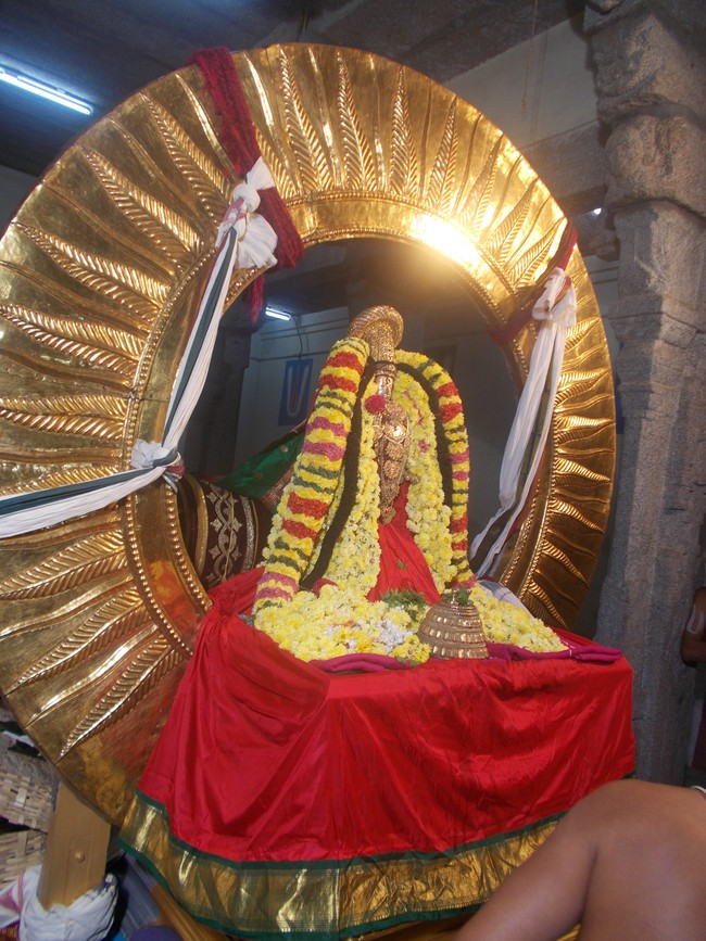 Thiruvallur Thai bRahmotsavam Surya Prabhai  2014  -5