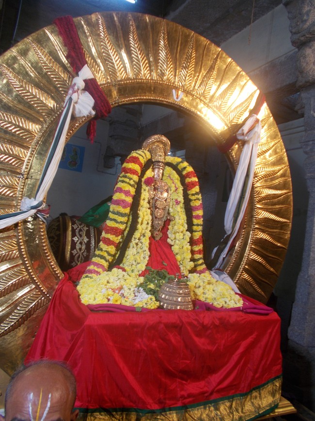 Thiruvallur Thai bRahmotsavam Surya Prabhai  2014  -7