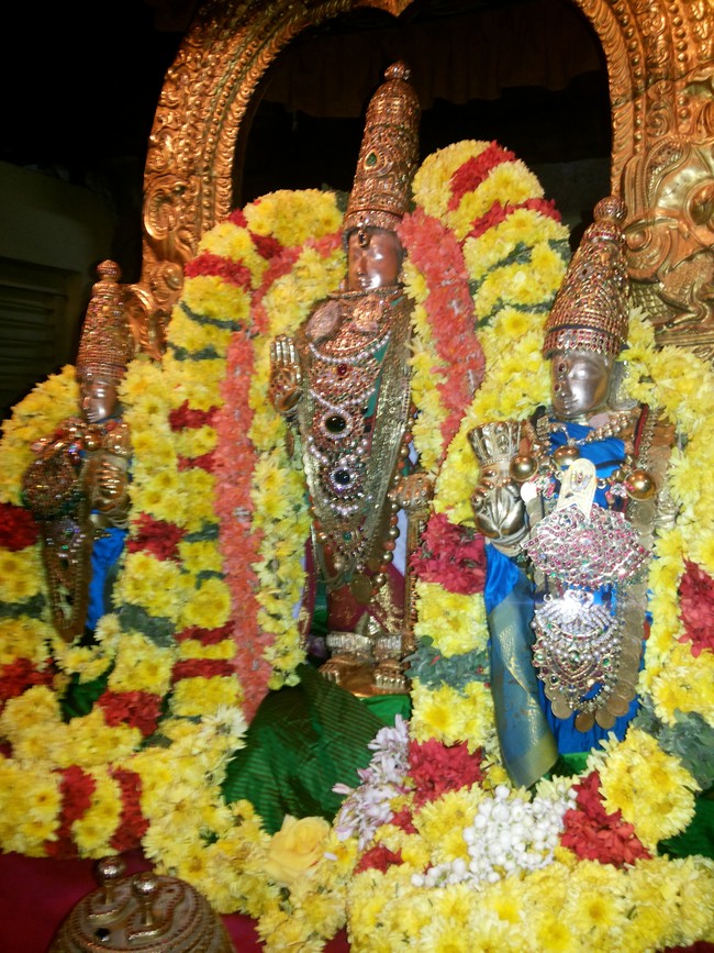 Thiruvallur Veeraraghava Perumal Temple Irappathu day 6 2014 -04