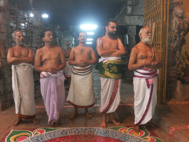 Thiruvallur Veeraraghava Perumal Temple Irappathu day 6 2014 -17