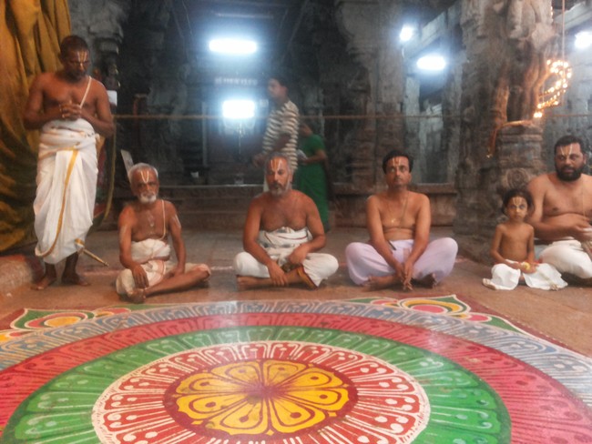 Thiruvallur Veeraraghava Perumal Temple Irappathu day 6 2014 -20
