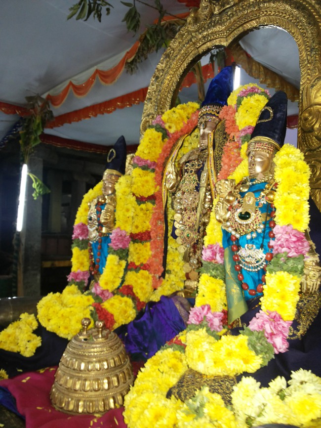 Thiruvallur Veeraraghava perumal Irappathu day 7 2014--08