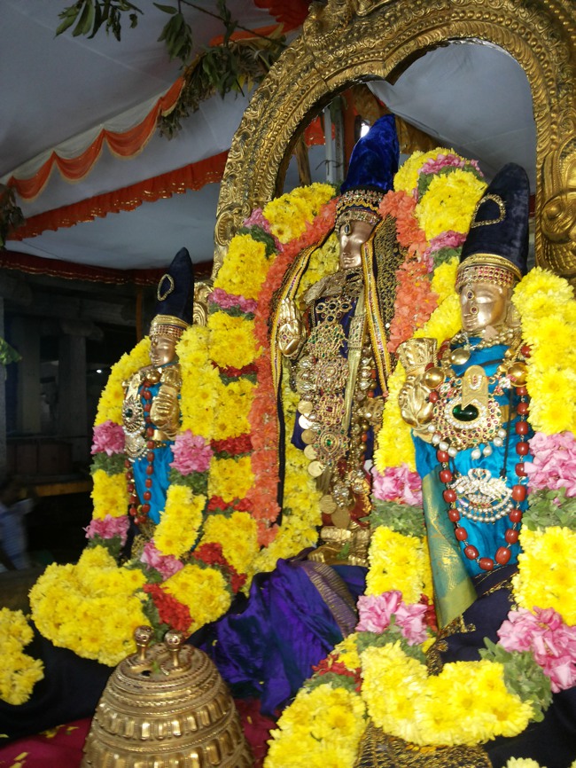 Thiruvallur Veeraraghava perumal Irappathu day 7 2014--09