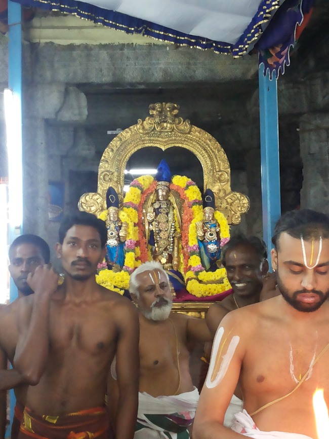 Thiruvallur Veeraraghava perumal Irappathu day 7 2014--13