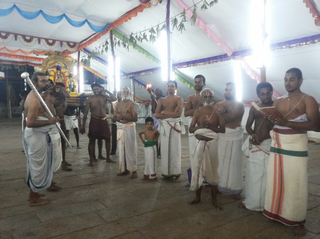 Thiruvallur Veeraraghava perumal Irappathu day 7 2014--15