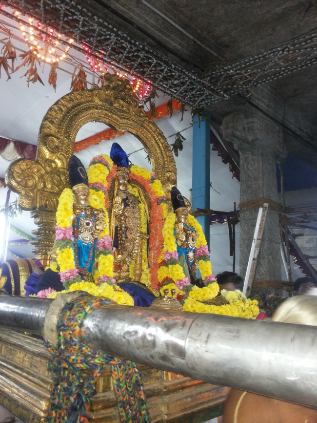 Thiruvallur Veeraraghava perumal Irappathu day 7 2014--16