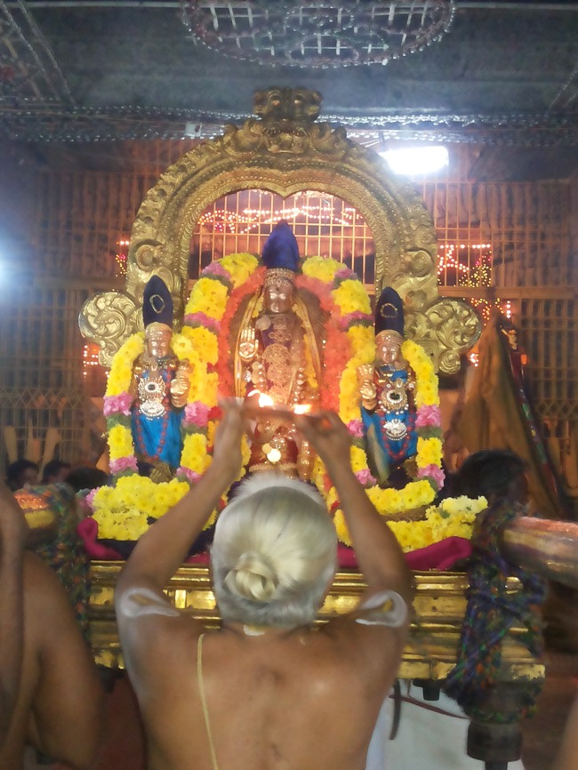 Thiruvallur Veeraraghava perumal Irappathu day 7 2014--19