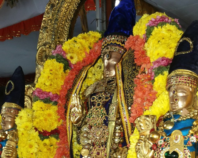 Thiruvallur Veeraraghava perumal Irappathu day 7 2014--20