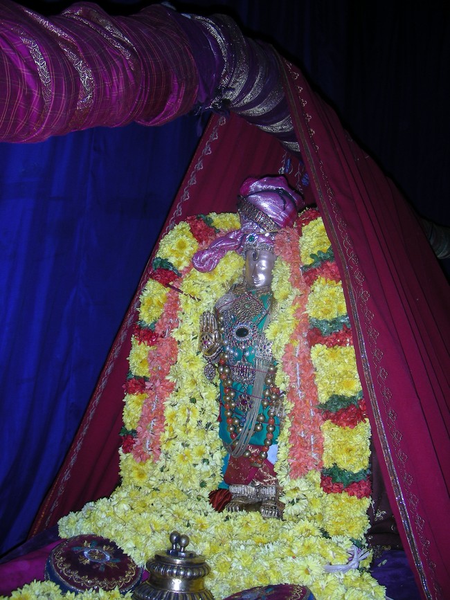 Thiruvallur Veeraraghava perumal  Kanu Parivettai 2014 -02