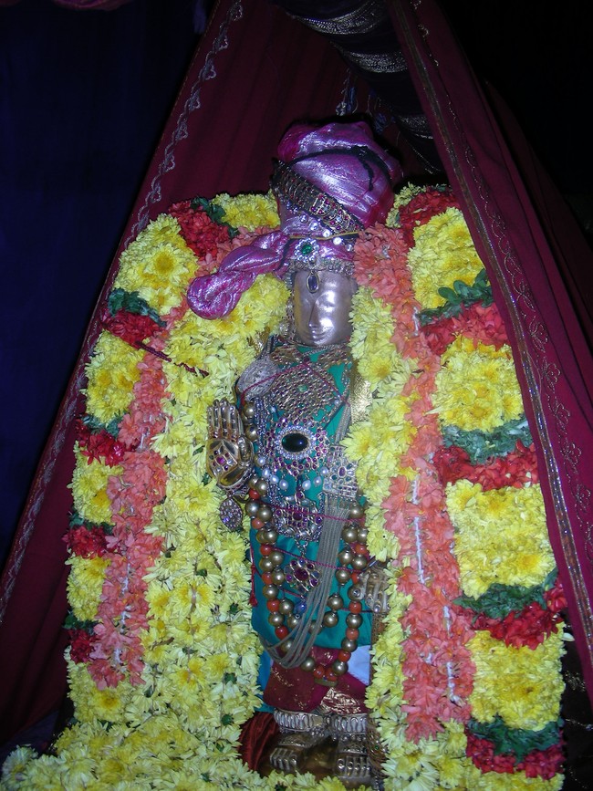 Thiruvallur Veeraraghava perumal  Kanu Parivettai 2014 -05