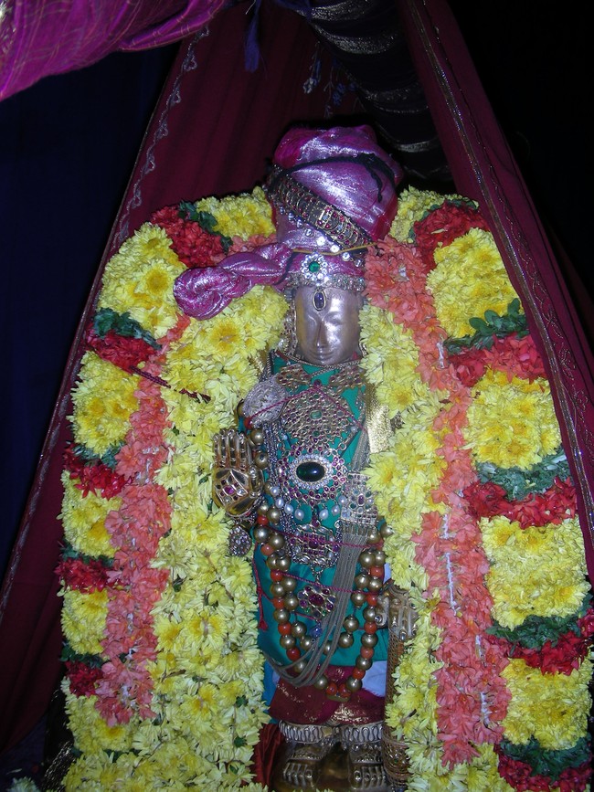 Thiruvallur Veeraraghava perumal  Kanu Parivettai 2014 -06