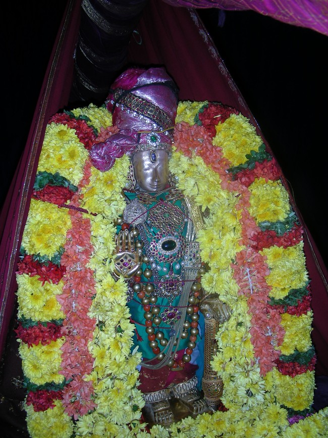 Thiruvallur Veeraraghava perumal  Kanu Parivettai 2014 -07