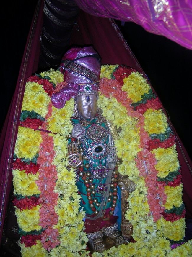 Thiruvallur Veeraraghava perumal  Kanu Parivettai 2014 -08