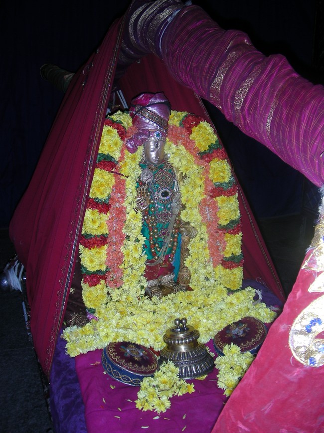 Thiruvallur Veeraraghava perumal  Kanu Parivettai 2014 -09