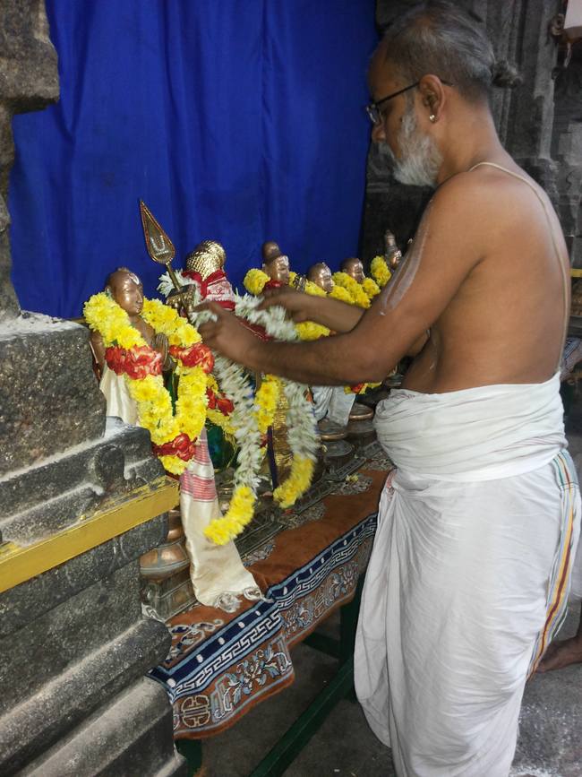 Thiruvallur Veeraraghava perumal Pagal pathu utsavam day 7  2014-03
