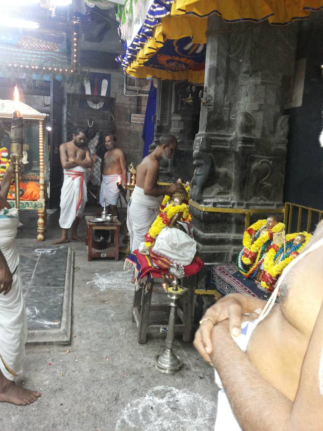 Thiruvallur Veeraraghava perumal Pagal pathu utsavam day 7  2014-04