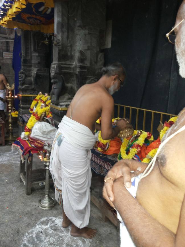 Thiruvallur Veeraraghava perumal Pagal pathu utsavam day 7  2014-06
