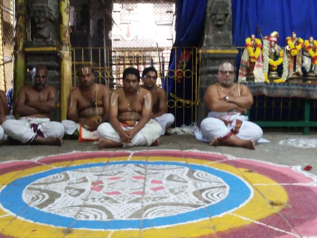 Thiruvallur Veeraraghava perumal Pagal pathu utsavam day 7  2014-07