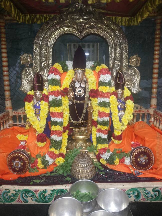 Thiruvallur Veeraraghava perumal Pagal pathu utsavam day 7  2014-09