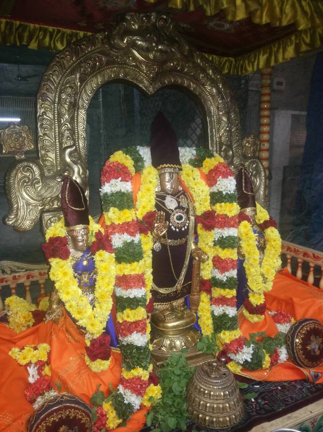 Thiruvallur Veeraraghava perumal Pagal pathu utsavam day 7  2014-10