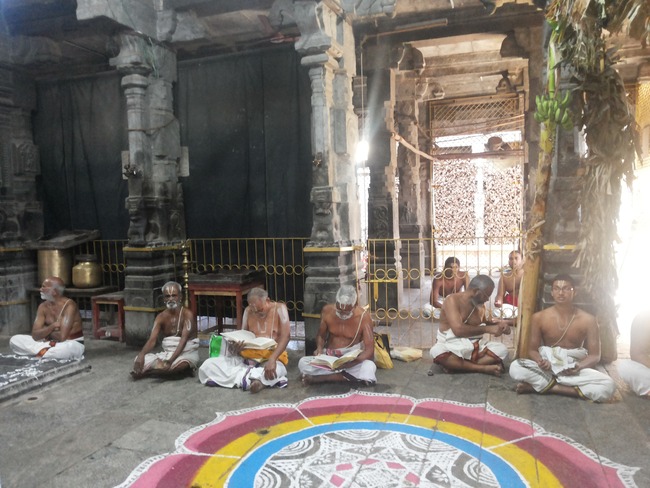 Thiruvallur Veeraraghava perumal Rappathu Day 4  2014-01