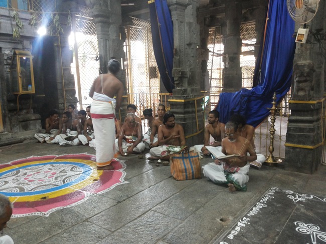Thiruvallur Veeraraghava perumal Rappathu Day 4  2014-04