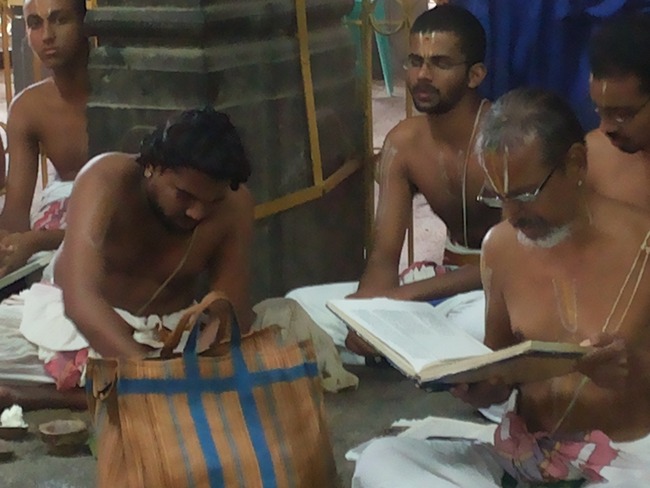 Thiruvallur Veeraraghava perumal Rappathu Day 4  2014-06