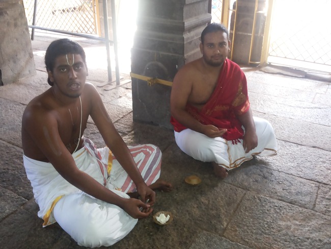 Thiruvallur Veeraraghava perumal Rappathu Day 4  2014-07