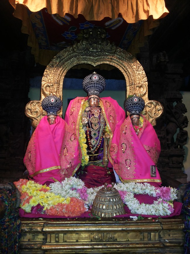 Thiruvallur Veeraraghava perumal  Rappathu Utsavam Day 2 2014-01