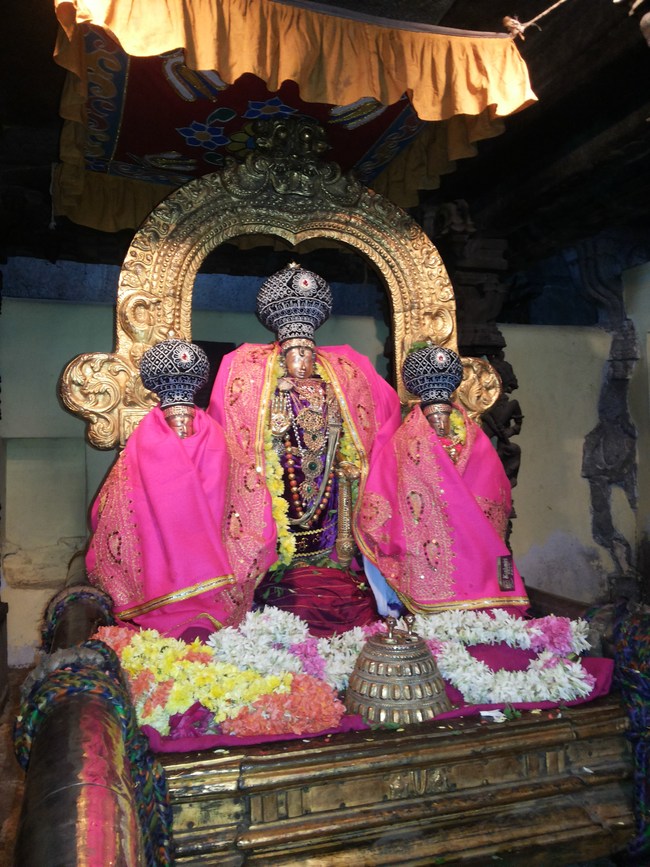 Thiruvallur Veeraraghava perumal  Rappathu Utsavam Day 2 2014-02