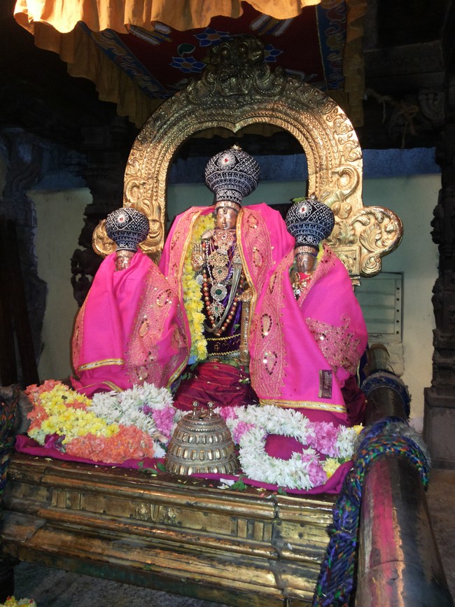 Thiruvallur Veeraraghava perumal  Rappathu Utsavam Day 2 2014-03