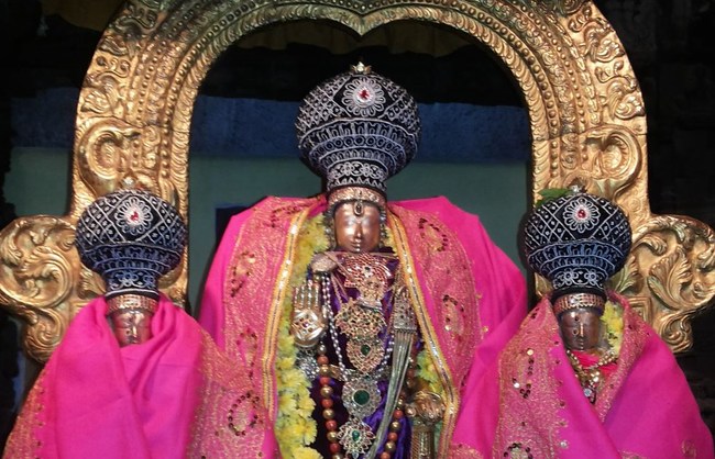 Thiruvallur Veeraraghava perumal  Rappathu Utsavam Day 2 2014-12