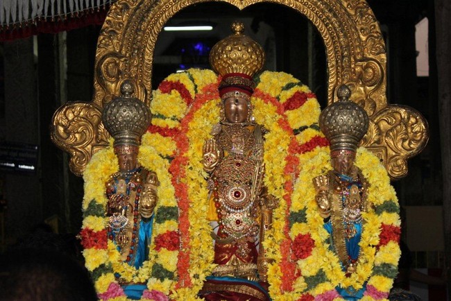 Thiruvallur Veeraraghava perumal temple Irappathu day 9   2014 -01