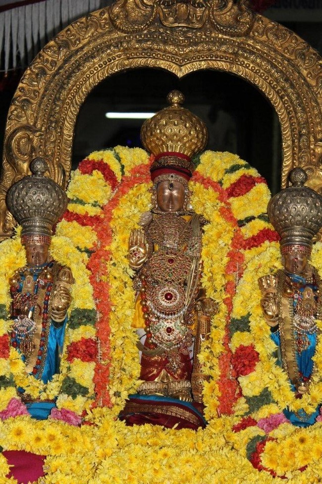 Thiruvallur Veeraraghava perumal temple Irappathu day 9   2014 -02