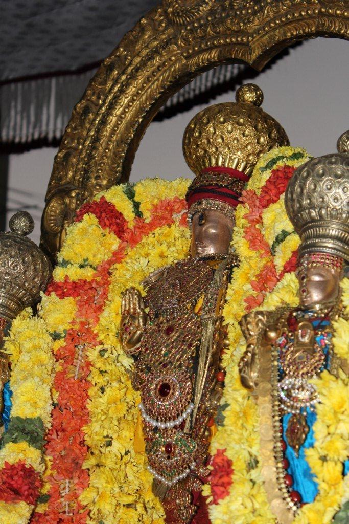 Thiruvallur Veeraraghava perumal temple Irappathu day 9   2014 -06