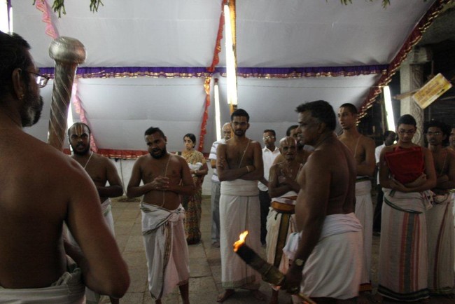 Thiruvallur Veeraraghava perumal temple Irappathu day 9   2014 -23