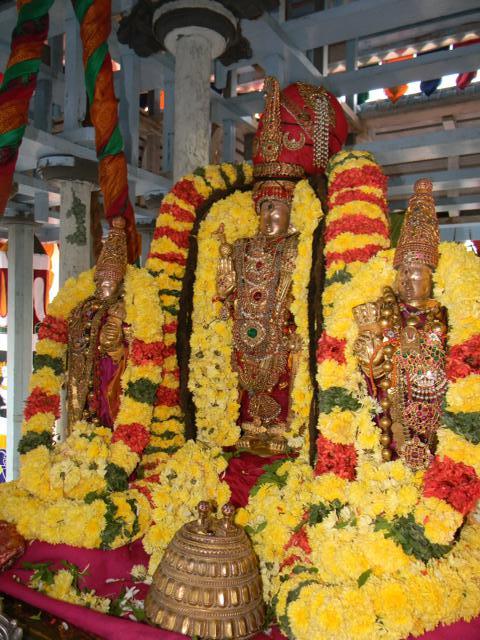 Thiruvallur_Ther_080